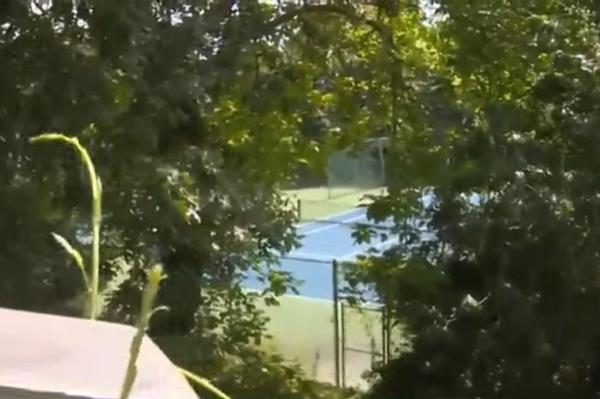 Comeau alleges that the pickleball courts at the Sagamore Beach colony Club, a 100-year-old private tennis club, were "snuck in during COVID" and placed 30 feet from her property line are the culprit to her unsellable house.